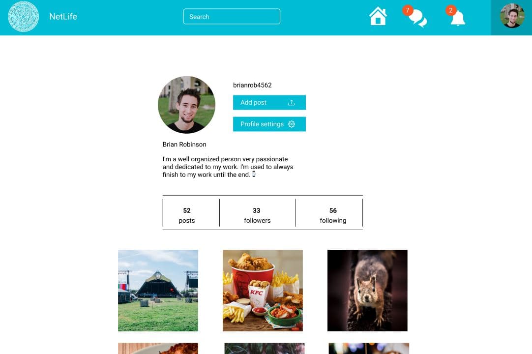 NetLife user profile with account statistics and photo posts